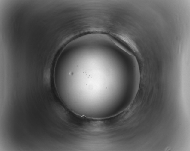 X0000088900108200706081313