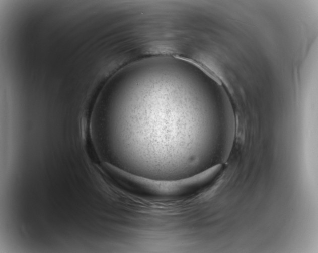 X0000088900109200706081313