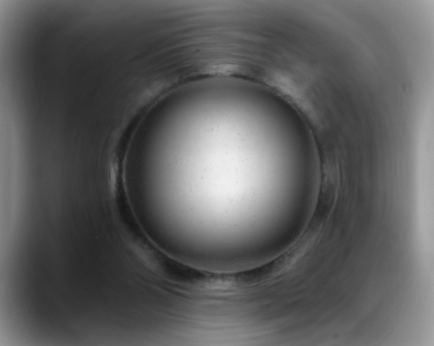 X0000088900110200706081313