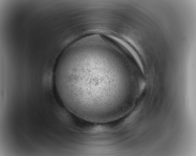X0000088900111200706081313