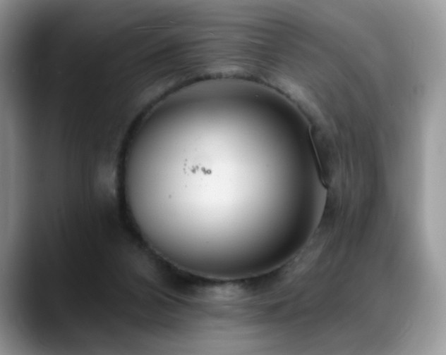 X0000088900112200706081313