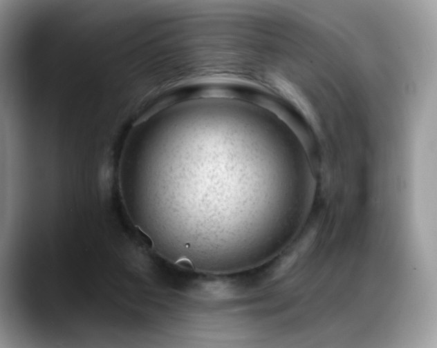 X0000088900113200706081313