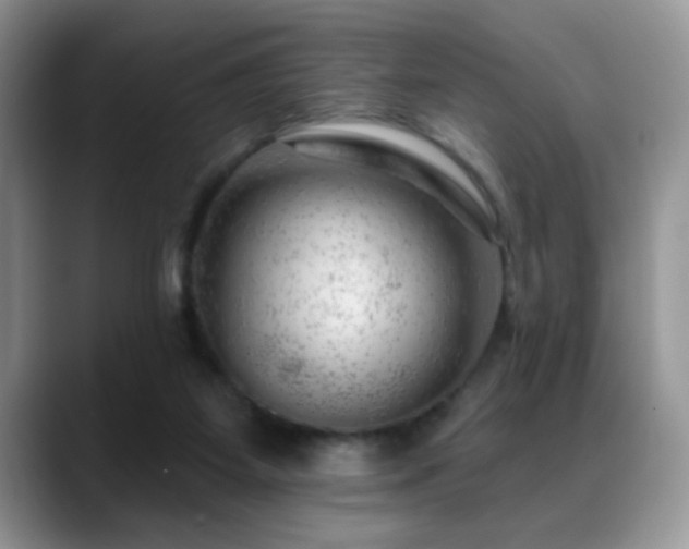 X0000088900115200706081313