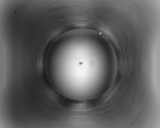 X0000088900116200706081313