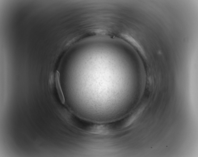 X0000088900117200706081313