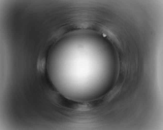 X0000088900118200706081313