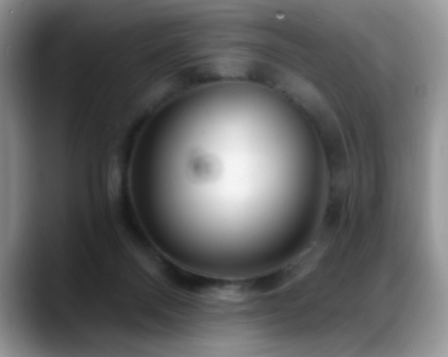 X0000088900120200706081313