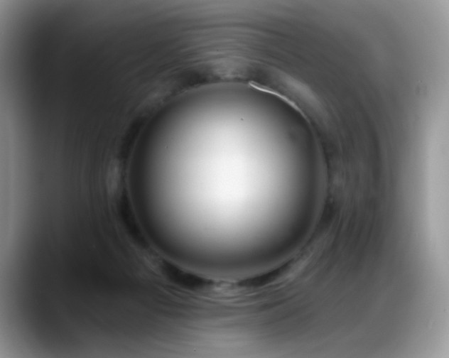 X0000088900121200706081313