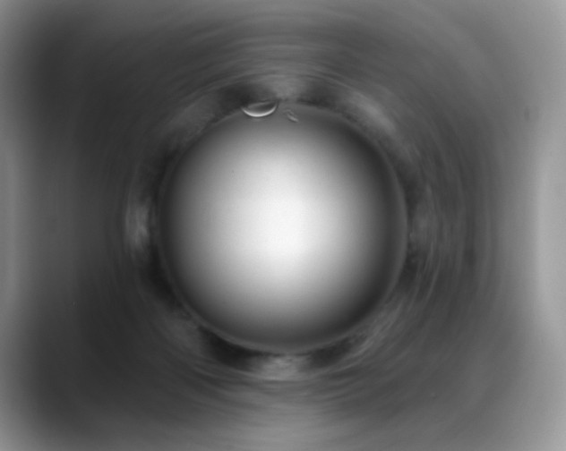 X0000088900122200706081313