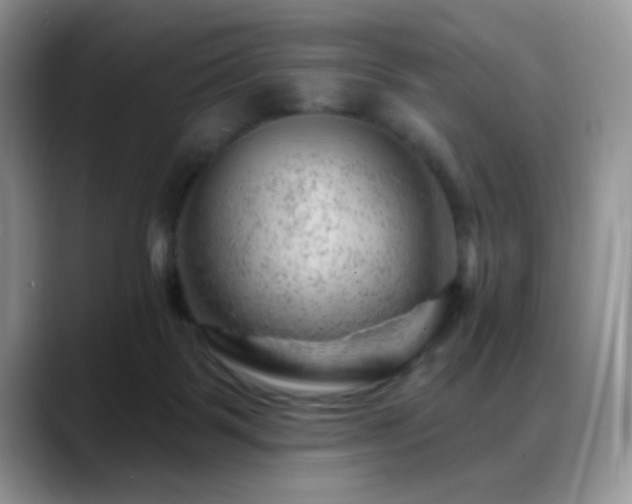 X0000088900123200706081313