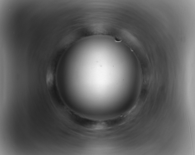 X0000088900124200706081313