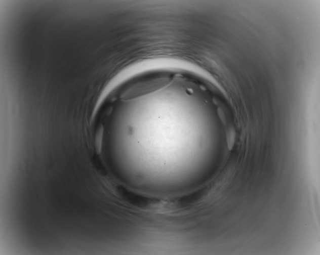 X0000088900125200706081313