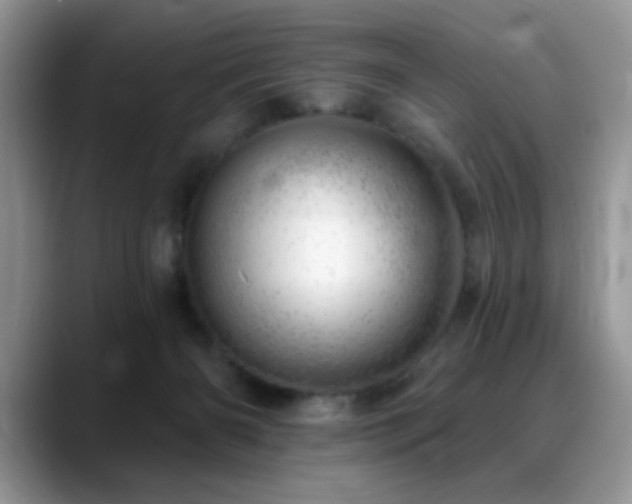 X0000088900126200706081313