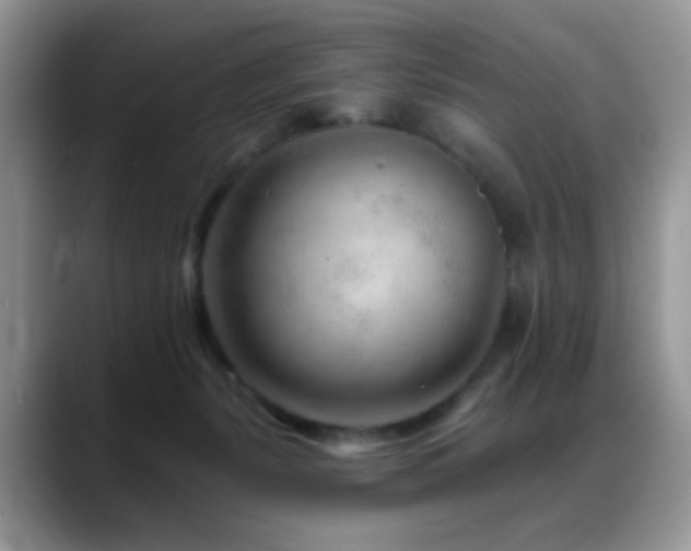 X0000088900127200706081313