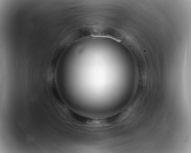 X0000088900129200706081313