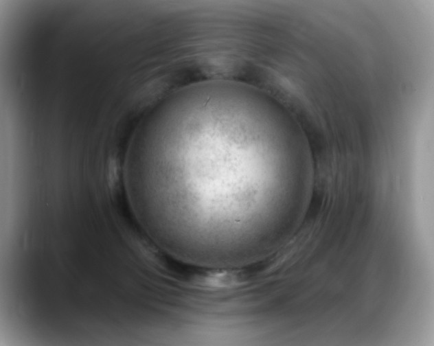 X0000088900130200706081313