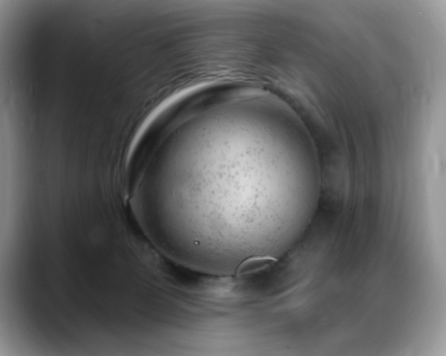 X0000088900131200706081313