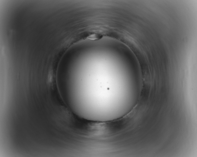 X0000088900132200706081313