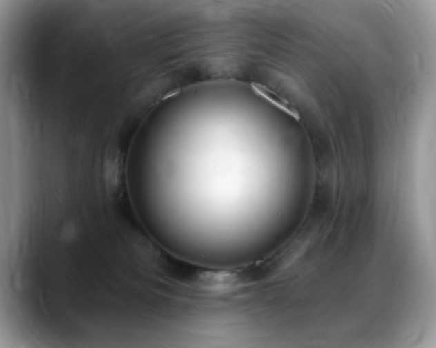 X0000088900133200706081312