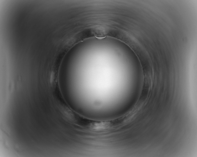 X0000088900134200706081312
