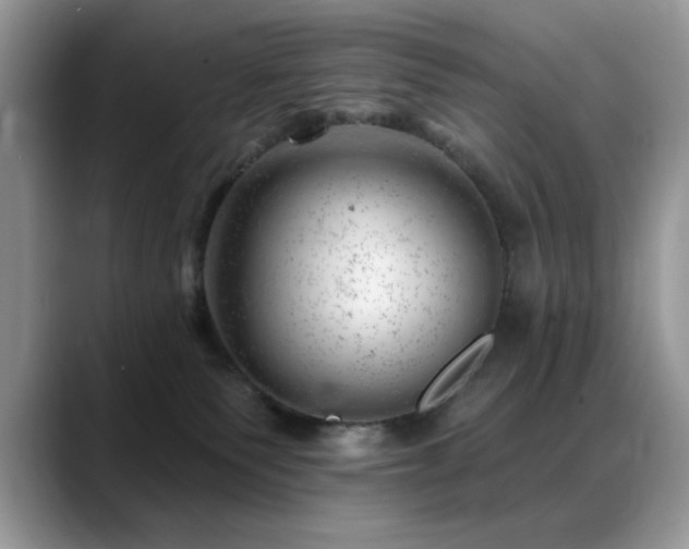 X0000088900135200706081312