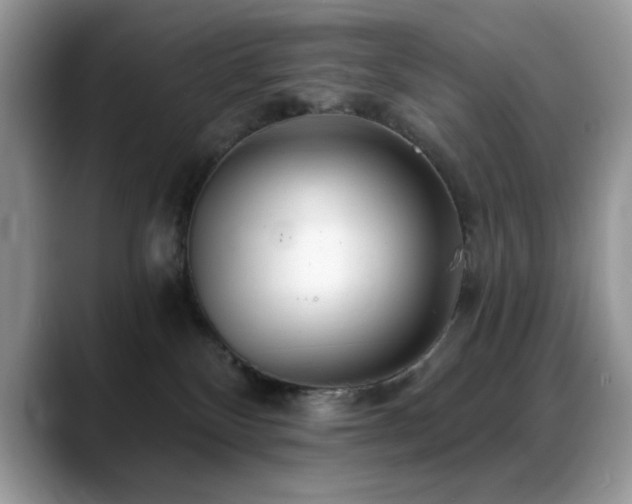 X0000088900136200706081312