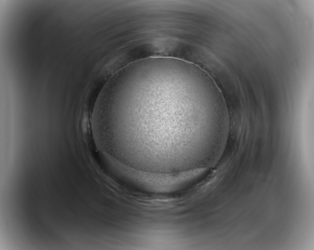 X0000088900137200706081312