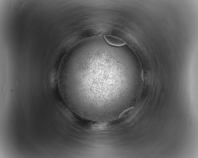 X0000088900138200706081312