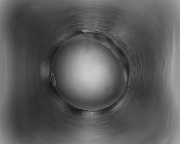 X0000088900139200706081312