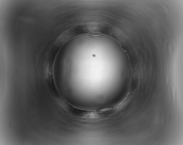 X0000088900140200706081312