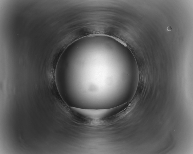 X0000088900141200706081312