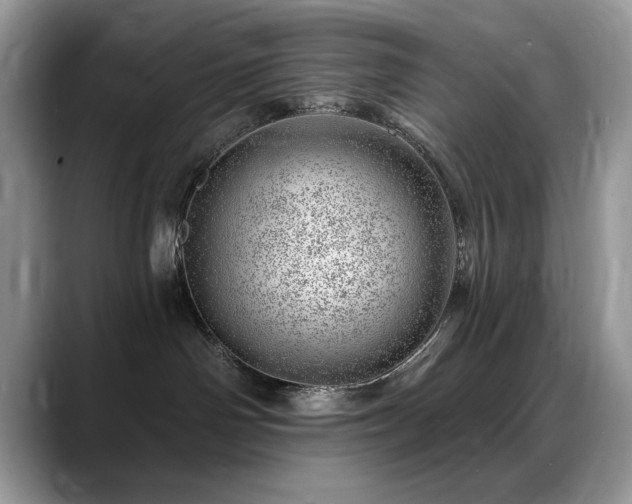 X0000088900142200706081312