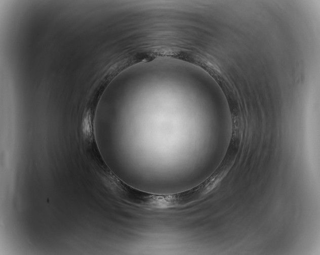 X0000088900143200706081312