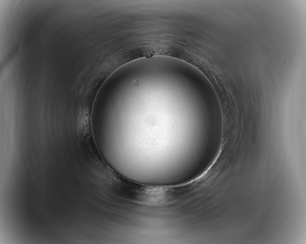 X0000088900144200706081312
