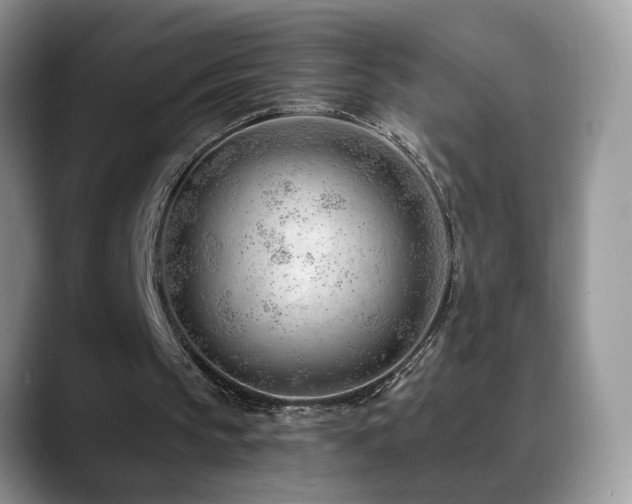 X0000088900145200706081312