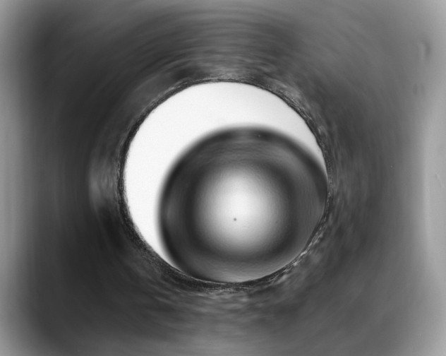 X0000088900146200706081312