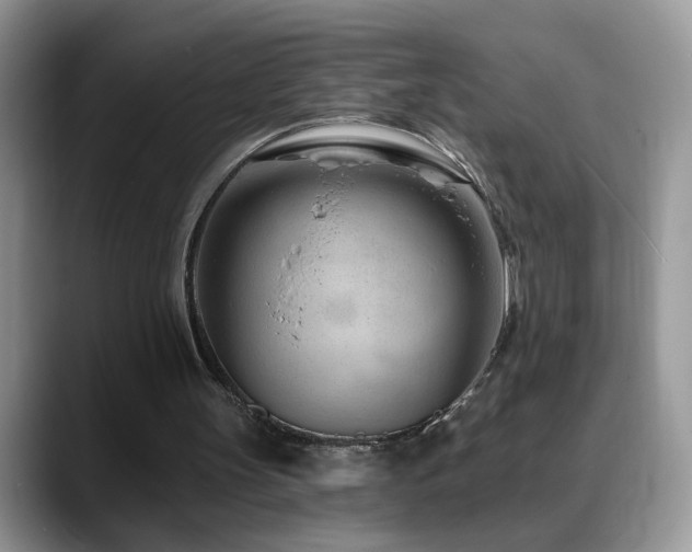X0000088900147200706081312