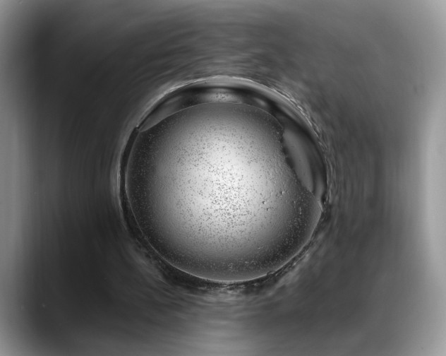X0000088900148200706081312