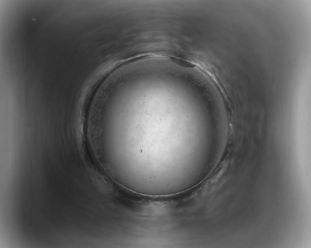 X0000088900149200706081312