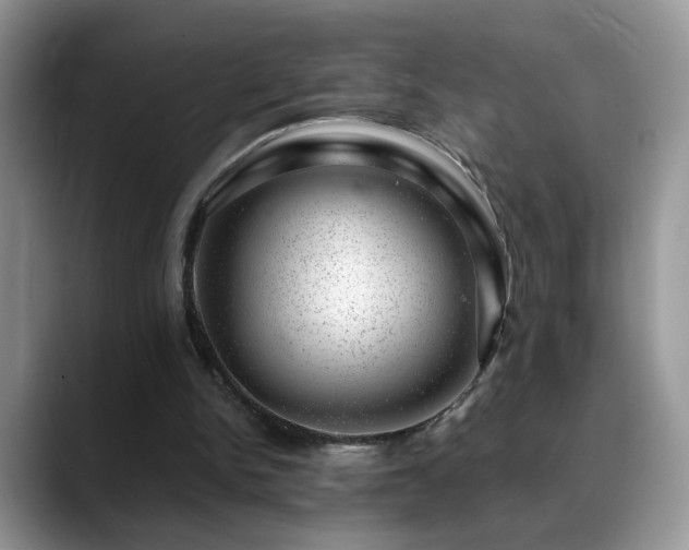 X0000088900150200706081312