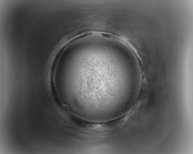 X0000088900151200706081312