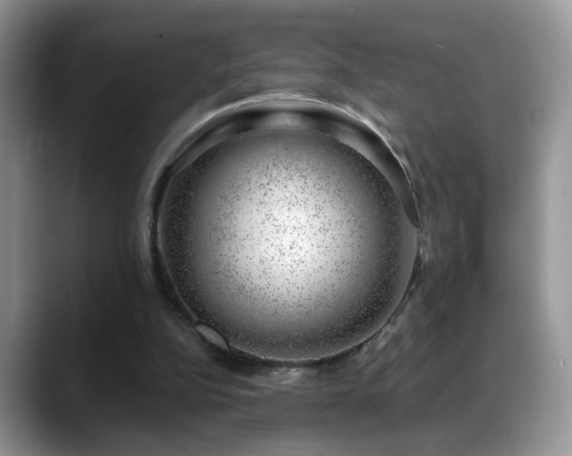 X0000088900152200706081312