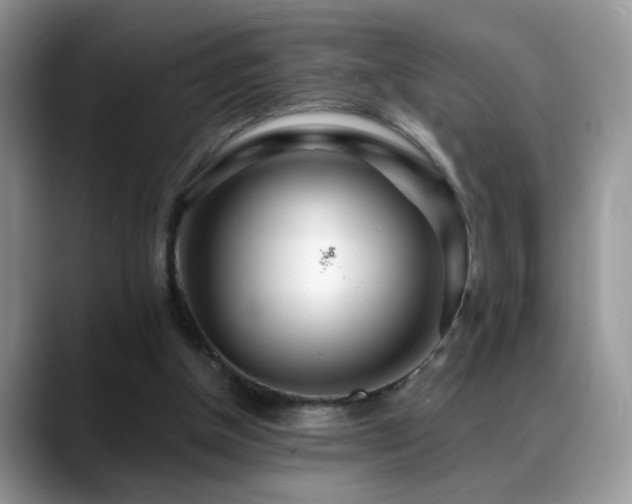 X0000088900154200706081312