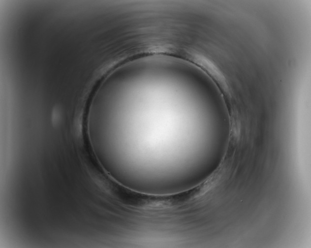 X0000088900155200706081312