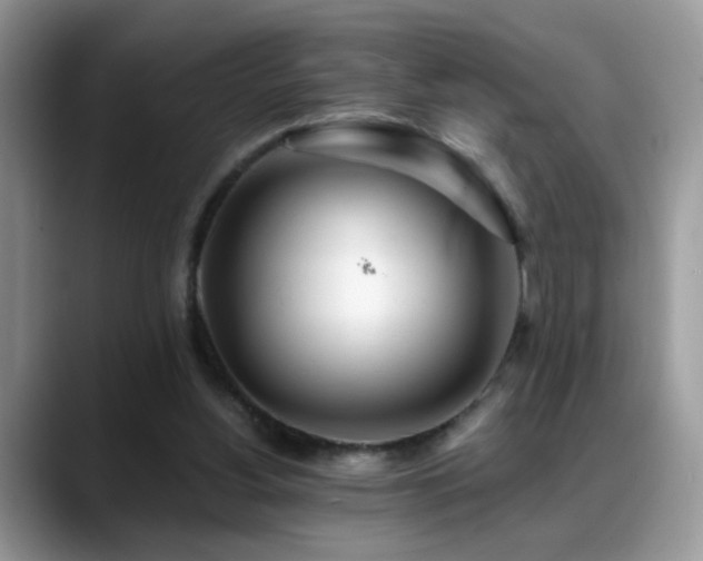 X0000088900156200706081312