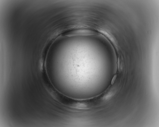 X0000088900157200706081312