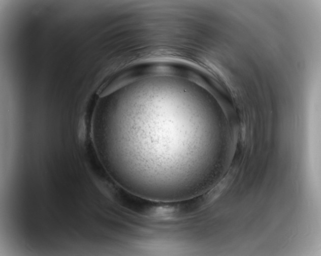 X0000088900158200706081312