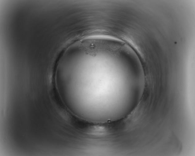 X0000088900159200706081312