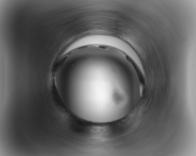 X0000088900160200706081312