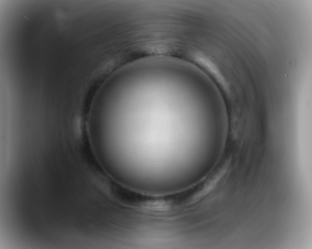 X0000088900161200706081312
